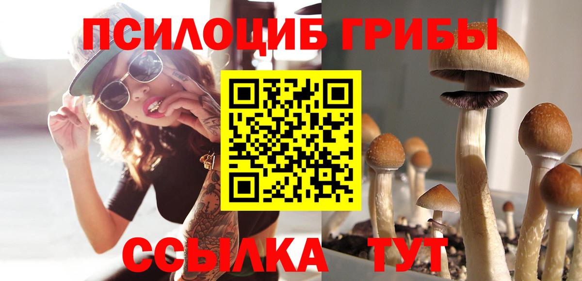Сергиев Посад  Псилоцибиновые грибы прущие грибы  Вход с VPN  Галлюциногенные грибы MAGIC MUSHROOMS 